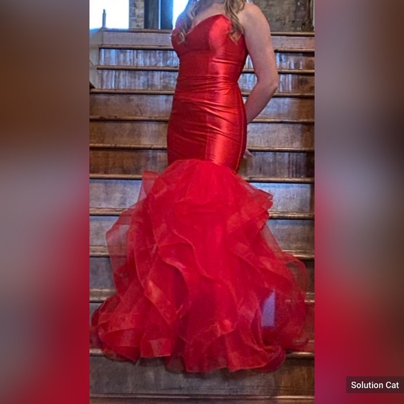 Prom Dress - Picture 4 of 4